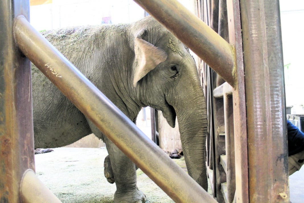 Zoo Augsburg