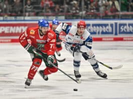 Luca Tosto, Augsburger Panther