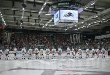 Entscheidung gefallen: Maximilian Renner ist neuer Kapitän der Augsburger Panther Das Panther Team um Kapitän Maximilian Renner. Foto: Sport in Augsburg