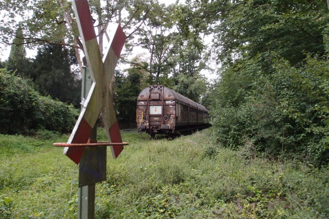 Mancher glaubt es kaum, aber die Waggons, die nahe der Haustetter Straße am Siebentischwald abgestellt sind, warten dort auf ihren nächsten Einsatz.Fotos: Siegel