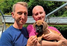 Doggen-Nachwuchs bei Stefan und Dominic Haschka