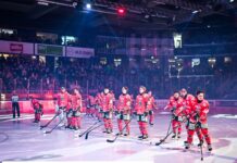 Großer Run auf Panther-Tickets: Spiel gegen München ausverkauft Volles Haus im Curt-Frenzel-Stadion. Foto: Sport in Augsburg