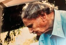 Hermann Fischer: Der Maler des Lichts