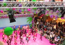 Fasching 2026: Narren starten zum Endspurt