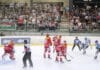 Panther wieder dabei: Augsburger Eishockeycracks starten beim Dolomitencup