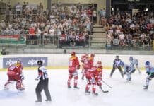 Panther wieder dabei: Augsburger Eishockeycracks starten beim Dolomitencup