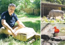 Augsburgs neuer Zoodirektor Philipp Wagner: Der Tier-Retter ist da!