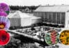 Erlebnis durch vier Jahreszeiten: Der Botanische Garten wird 90 Jahre alt