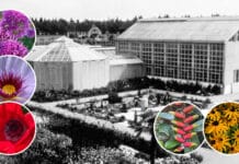 Erlebnis durch vier Jahreszeiten: Der Botanische Garten wird 90 Jahre alt